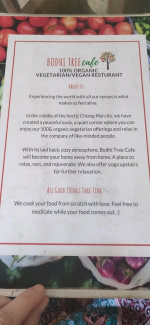  at Bodhi Tree Cafe in Chiang Mai