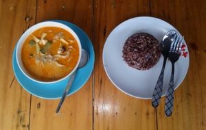 massaman curry and brown/red rice at Bodhi Tree Cafe in Chiang Mai
