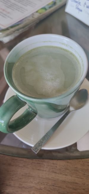 Matcha with milk (ask for vegan milk)  #Veganuary at Bodhi Tree Cafe in Chiang Mai