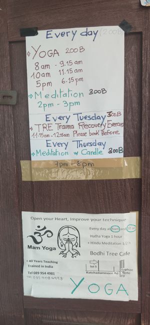  at Bodhi Tree Cafe in Chiang Mai