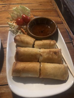   at Bodhi Tree Cafe in Chiang Mai