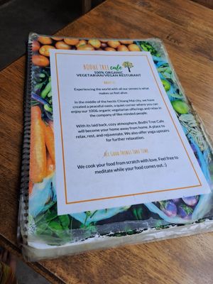  at Bodhi Tree Cafe in Chiang Mai