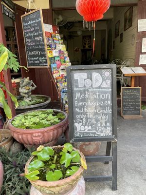   at Bodhi Tree Cafe in Chiang Mai