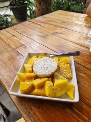  at Bodhi Tree Cafe in Chiang Mai