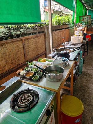  at Bodhi Tree Cafe in Chiang Mai
