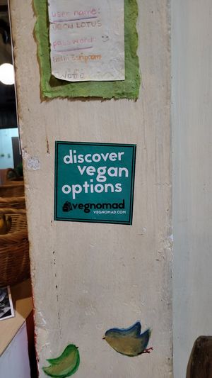  at Bodhi Tree Cafe in Chiang Mai