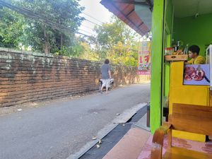  at Bodhi Tree Cafe in Chiang Mai