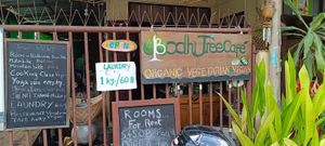  at Bodhi Tree Cafe in Chiang Mai