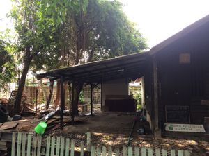 closed for maintenance at Bodhi Tree Cafe in Chiang Mai