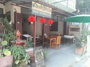 Outside at Bodhi Tree Cafe in Chiang Mai