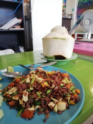   at Bodhi Tree Cafe in Chiang Mai