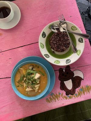 Curry with rice  at Bodhi Tree Cafe in Chiang Mai