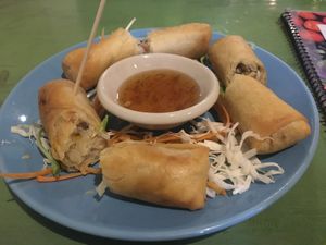 spring rolls (fried) at Bodhi Tree Cafe in Chiang Mai