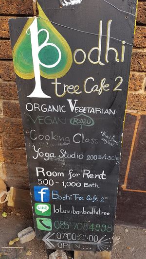 Bodhi Tree Café at Bodhi Tree Cafe in Chiang Mai