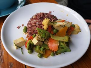 Penang curry with rice 🍛 at Bodhi Tree Cafe in Chiang Mai