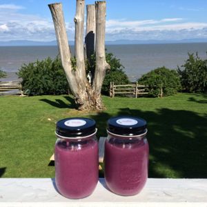 Smoothies BOOST + terrasse avec vue sur le Fleuve at La Bette a Cath in Notre Dame Du Portage