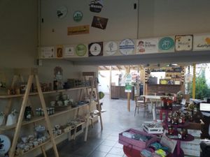looking into restaurant area at El Patio Organico in Tijuana