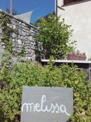 Our own spices! The kitchen garden is not treated with ay products, we simply pick our vegatables the insects have not eaten. at Due Di Moro in Gardone Riviera