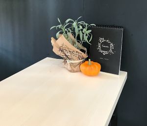 sit down & relax at Barbarella Arkade in Ljubljana