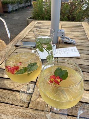 Gin kombucha with nice fresh-sour flowers at Mediamatic ETEN in Amsterdam