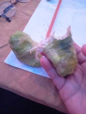 Wrap at Mediamatic ETEN in Amsterdam