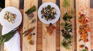 Spring dishes. at Mediamatic ETEN in Amsterdam