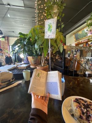 Blueberry/lemon scone   at The Corner Beet in Denver