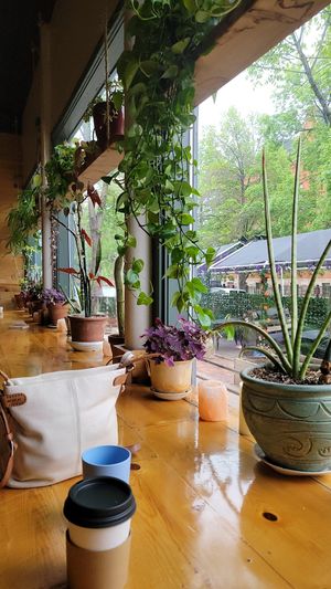  at The Corner Beet in Denver