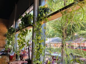   at The Corner Beet in Denver