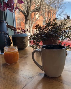 so cute. love all the plants  at The Corner Beet in Denver