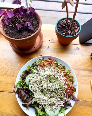 Super seed salad! So many amazing toppings, you can swap out feta for avocado for free. Very filling!  at The Corner Beet in Denver