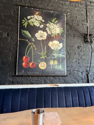   at Vital Root in Denver