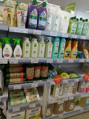 cleaning at Ecorganic in Ondara