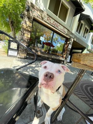 Outside seating  at Plank Coffee in Cloverdale
