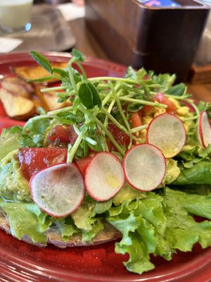 Avocado and Egg Toast  at Mr. Farmer - Omotesando in Tokyo