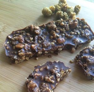 chocolate mulberry almond bark at Rawlicious Rachel in Hollywood