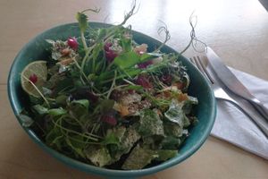 Nice sprouts raw vegan salad with sauce, yummy! at Oh my Goodness in Helsinki