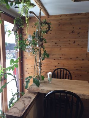 Cute decor inside  at Little Saebejae in Tokyo