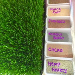 organic wheatgrass and add-ons at Nectar of Maine in Bridgton