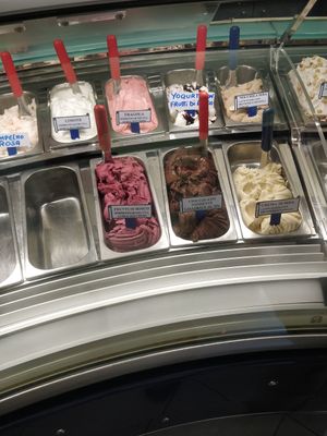 The vegan selection at Tutto Gelato Di Viazzi Aldo in Imperia