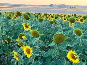 Beautiful surroundings a 5 minute walk away. at Mostarlic in Bouconville