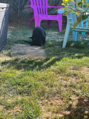 Friendly locals. at Mostarlic in Bouconville