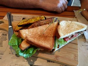 BLT  at Holi Vegan Kitchen in North Miami Beach