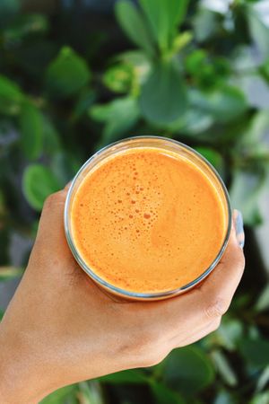  at Holi Vegan Kitchen in North Miami Beach