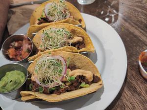 Hard to believe this was jack fruit at Holi Vegan Kitchen in North Miami Beach