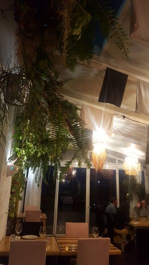 Many plants and lights. Nice sunset view at Franchipani in La Palma