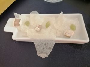 Benvenuto at Black Sheep Raw • Vegan Lab & Bistrot in Trento