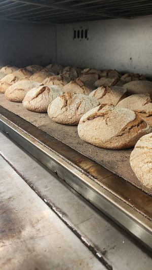  at Black Sheep Raw • Vegan Lab & Bistrot in Trento