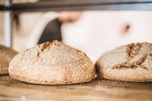  at Black Sheep Raw • Vegan Lab & Bistrot in Trento