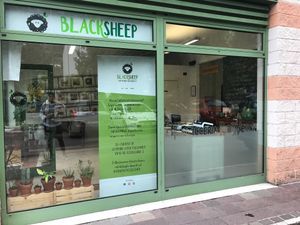 Black sheep at Black Sheep Raw • Vegan Lab & Bistrot in Trento